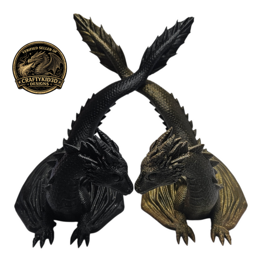 Twin dragon book display